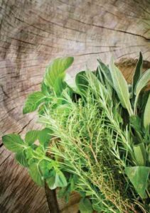 Maximize Your Garden Harvest